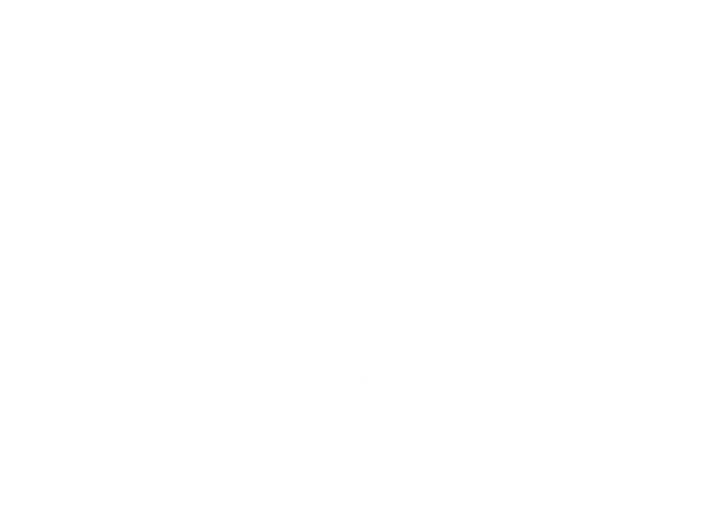 Bluewings Consultancy — Empowering Growth. Securing Futures.